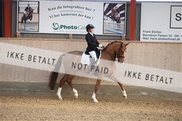 173782_mtp_01_3M5A7839.JPG