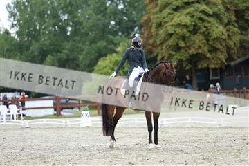 181923_mtp_01_R62_6918.JPG