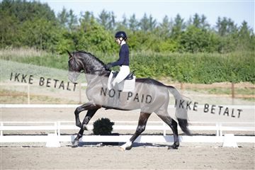 181449_kbb_01_6II8772.JPG