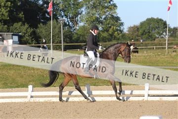 148862_sg_01_IMG_2331.JPG