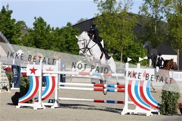 181436_avh_01_3227.JPG