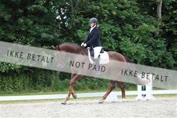 172073_mtp_01_3M5A2995.JPG