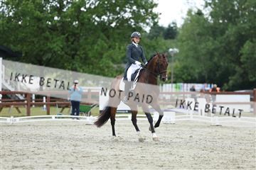 181923_mtp_01_R62_6917.JPG