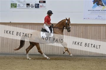 160111_nn_01__ESK1725.JPG