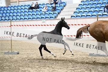 181754_kbb_01_Z093369.JPG
