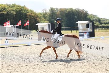 181894_mtp_02_R62_1768.JPG