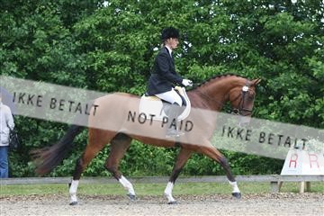 135518_ms_01_IMG_0878.JPG