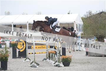179331_kbb_01_R6II0370.JPG
