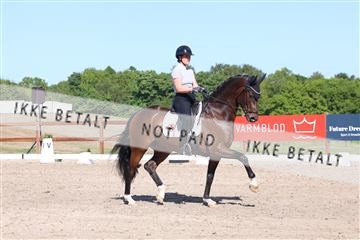 181449_bc_01R62_5984.JPG
