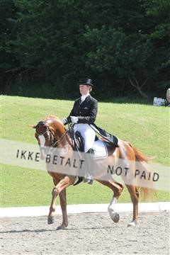 135676_sg_01_IMG_7829.JPG