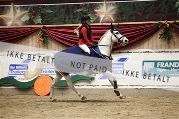175934_avh_02_7029.JPG