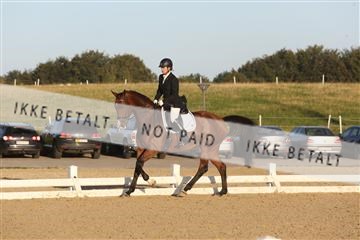 148862_sg_01_IMG_2171.JPG