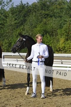 136195_abo_01__AB15436.JPG