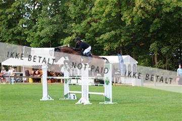 181805_mlm_02_R62_6375.JPG