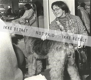 Enid airedale terrier.jpg