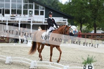 181923_mtp_02_R62_7061.JPG