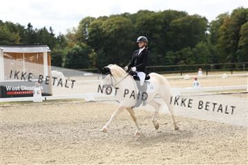 181894_mtp_02_R62_1074.JPG