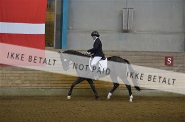 144288_abo_01__AB21730.JPG