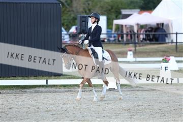 181894_mtp_05_R62_5390.JPG