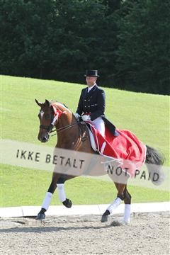 135676_sg_01_IMG_7646.JPG