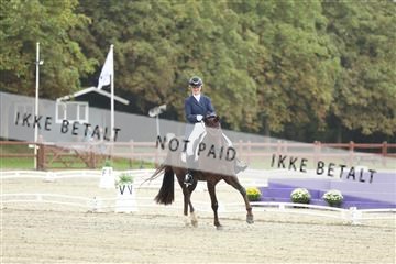 181923_mtp_04_R62_8276.JPG