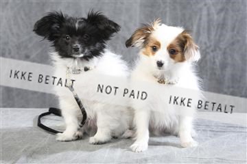 129608_le_ 01_0369.JPG