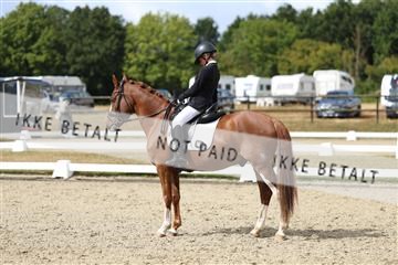 181894_mtp_05_R62_4443.JPG