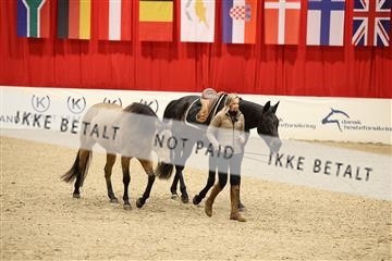178838_mtp_04_0E6A4496.JPG
