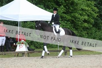 135518_ms_01_IMG_1326.JPG