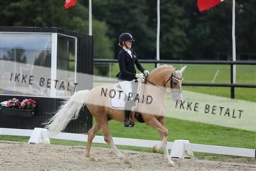 156716_mlm_05_IMG_0394.JPG