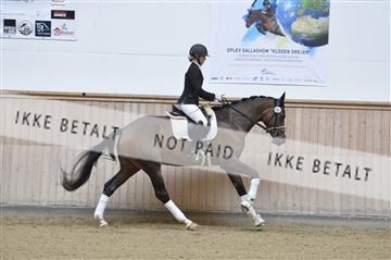 160111_nn_01__ESK1751.JPG