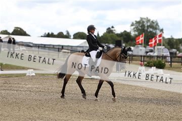 181894_mtp_02_R62_0897.JPG