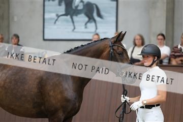 181852_mtp_02_R62_1785.JPG