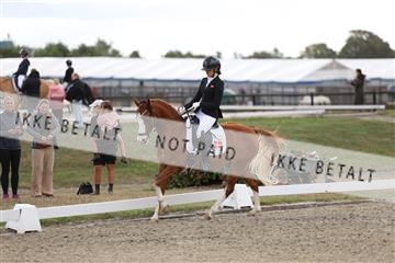181894_mtp_01_R62_0389.JPG