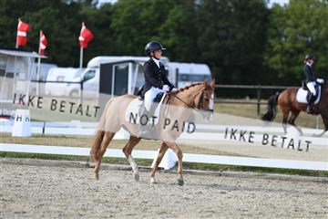 181894_mtp_05_R62_5069.JPG