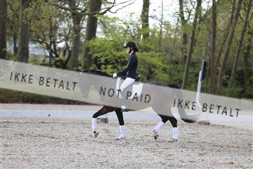 174512_mtp_01_3M5A6896.JPG