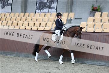 181852_mtp_01_R62_1390.JPG