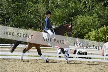 136195_abo_01__AB16095.JPG