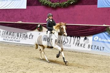 161006_abo_01__D050886.JPG