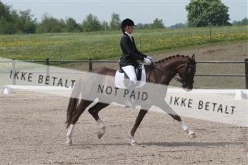 135086_sg_01_IMG_0229.JPG