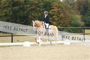 181894_mtp_04_R62_3393.JPG