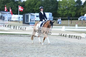 181894_mtp_05_R62_5384.JPG