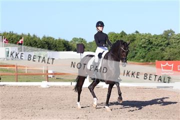 181449_bc_01R62_6347.JPG