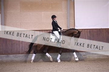 173821_mtp_01_3M5A8534.JPG