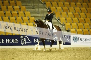 144963_ms_02__MG_1126.JPG