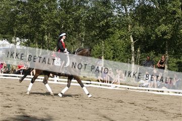 5925_gn_02__MG_7980.JPG