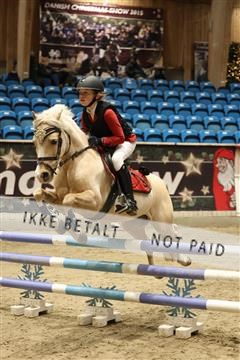 175934_avh_02_6923.JPG
