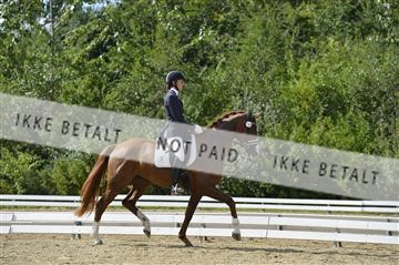 136195_abo_01__AB15988.JPG