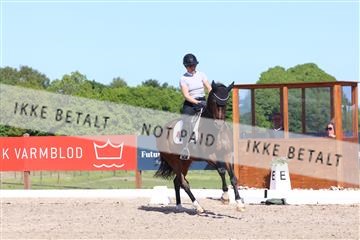 181449_bc_01R62_6003.JPG