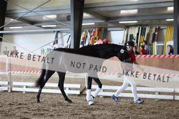 181756_mtp_01_R62_1503.JPG